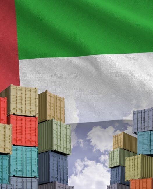 United,Arab,Emirates,Flag,And,Big,Stack,Of,Shipping,Cargo